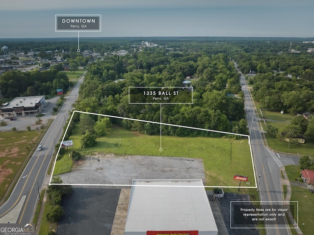 1335 Ball St, Perry, GA 31069