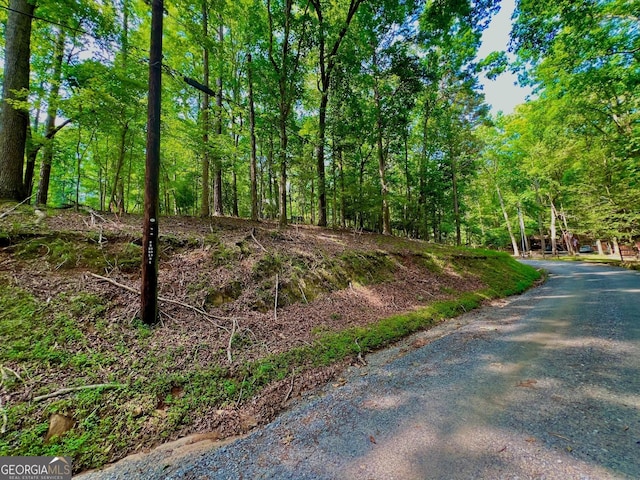 694 Echo Ln, Ellijay, GA 30540
