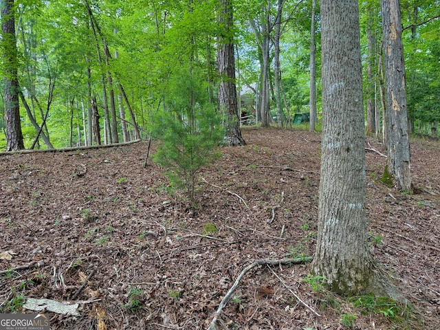 694 Echo Ln, Ellijay, GA 30540