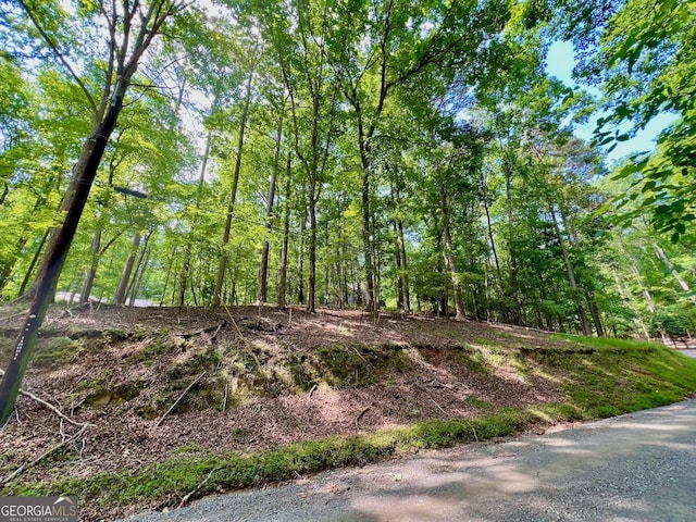 694 Echo Ln, Ellijay, GA 30540