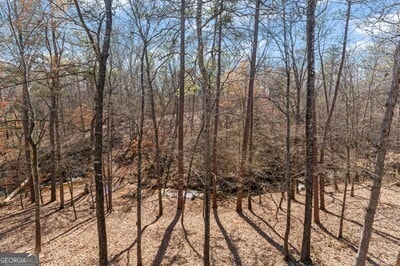 154 Hunters Trl, Dallas, GA 30157 - view of local wilderness