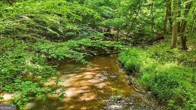 265 Shane Dr, Canton, GA 30115 - view of nature