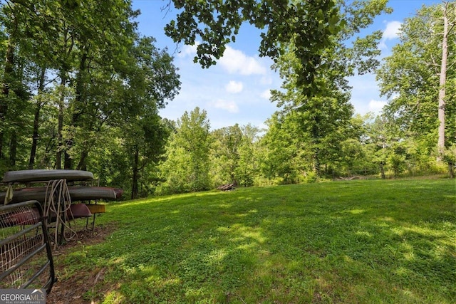 265 Shane Dr, Canton, GA 30115 - view of grassy yard featuring a wooded view