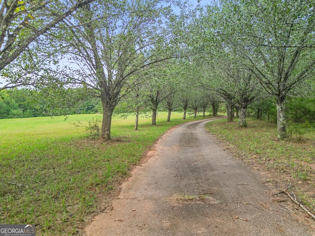 223 Arthur Rd, Zebulon, GA 30295 - view of street