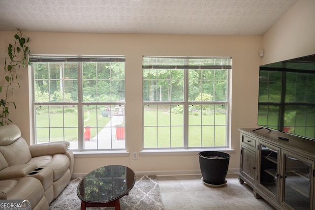 2407 Cove Lake Way, Lithonia, GA 30058 - living area featuring a textured ceiling and plenty of natural light