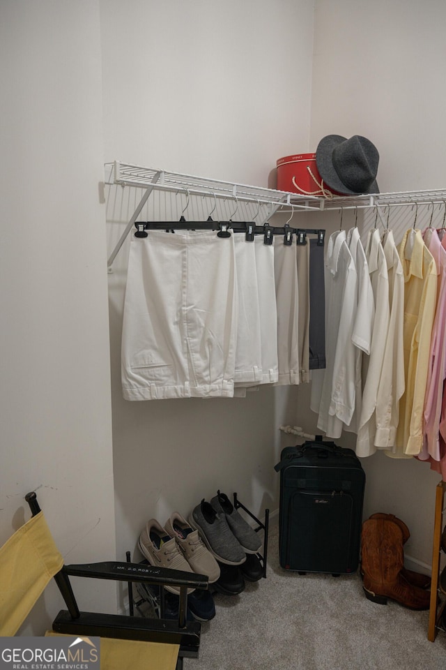 2407 Cove Lake Way, Lithonia, GA 30058 - spacious closet with carpet floors