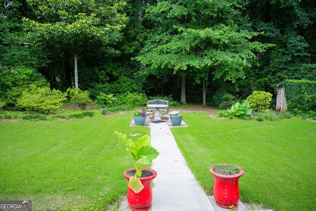 2407 Cove Lake Way, Lithonia, GA 30058 - view of green lawn