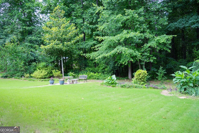 2407 Cove Lake Way, Lithonia, GA 30058 - view of green lawn