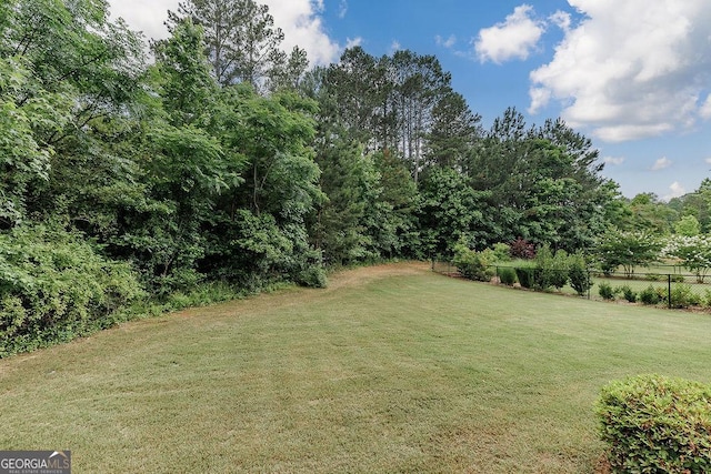 1015 Turtle Pond Dr, Watkinsville, GA 30677 - view of yard