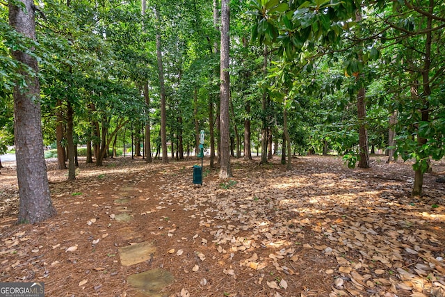1984 Mendenhall Cir, Atlanta, GA 30341 - view of local wilderness