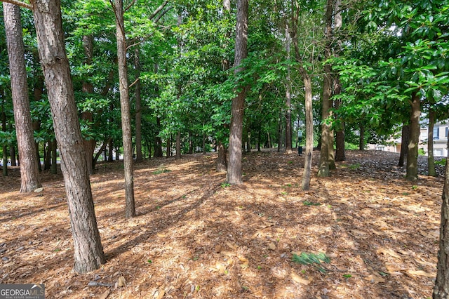1984 Mendenhall Cir, Atlanta, GA 30341 - view of undeveloped land