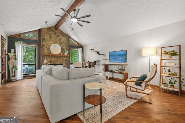 2666 Peachtree Walk, Duluth, GA 30096 - living area featuring a ceiling fan, a textured ceiling, plenty of natural light, hardwood / wood-style flooring, and a fireplace