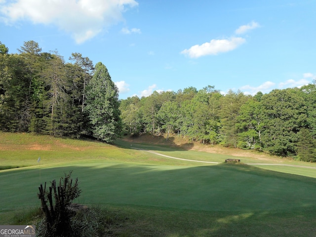 000 Wilfar Strasse, Helen, GA 30545