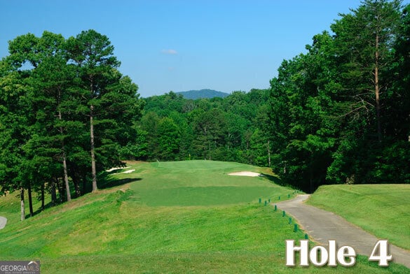 000 Wilfar Strasse, Helen, GA 30545