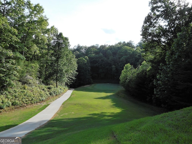 000 Wilfar Strasse, Helen, GA 30545