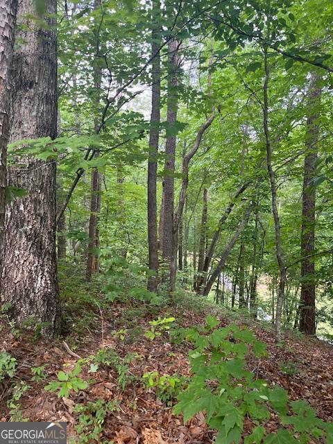 000 Wilfar Strasse, Helen, GA 30545