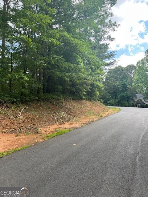 000 Wilfar Strasse, Helen, GA 30545