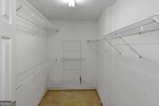 9550 Canvasback Ct, Jonesboro, GA 30238 - view of spacious closet