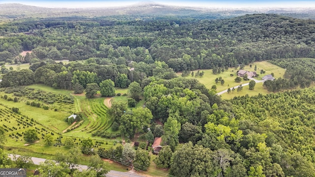 2037 Jeff Davis Rd, Thomaston, GA 30286 - overview of rural landscape featuring a forest