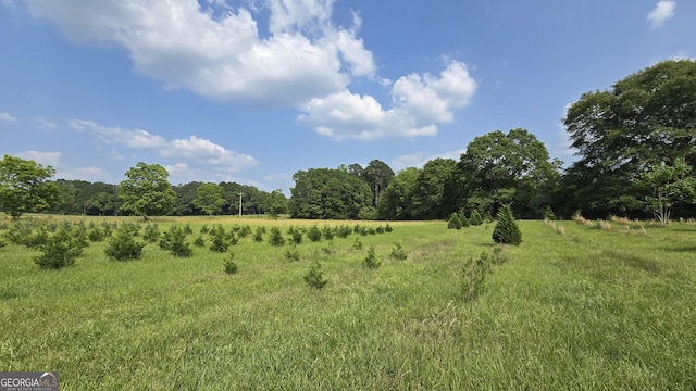 2037 Jeff Davis Rd, Thomaston, GA 30286 - view of nature featuring rural landscape