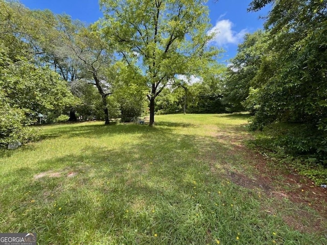 1263 Highland Ave, Macon, GA 31211 - view of green lawn