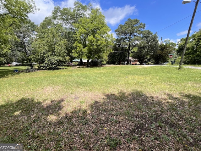 1263 Highland Ave, Macon, GA 31211 - view of yard