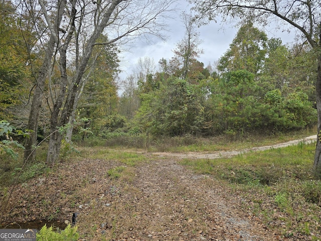 160 Roy Morgan Rd, Carrollton, GA 30116