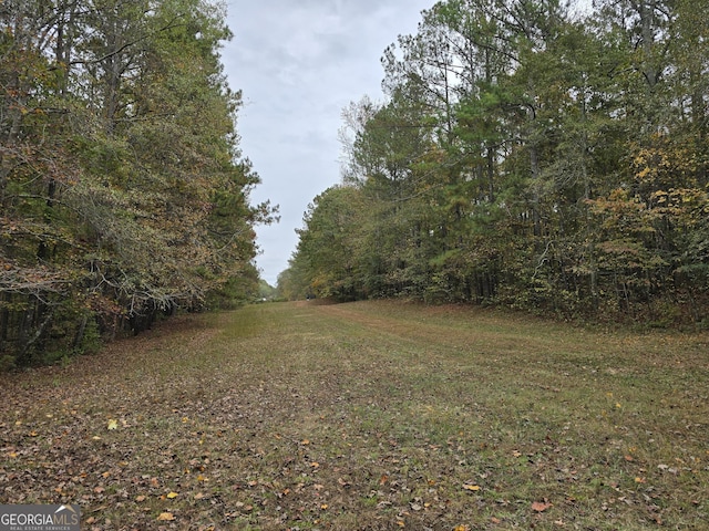 160 Roy Morgan Rd, Carrollton, GA 30116