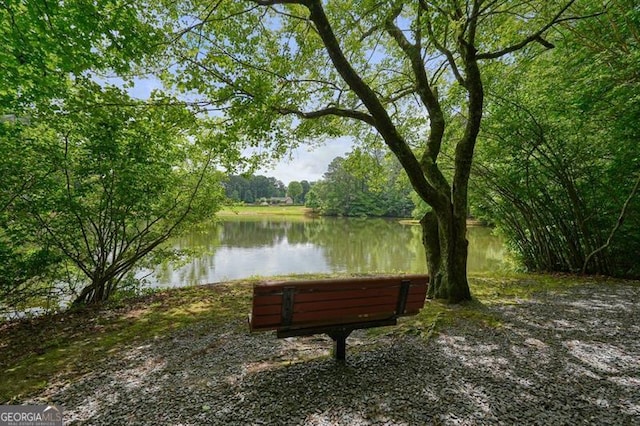 411 Mountain View Ln, Woodstock, GA 30188 - water view