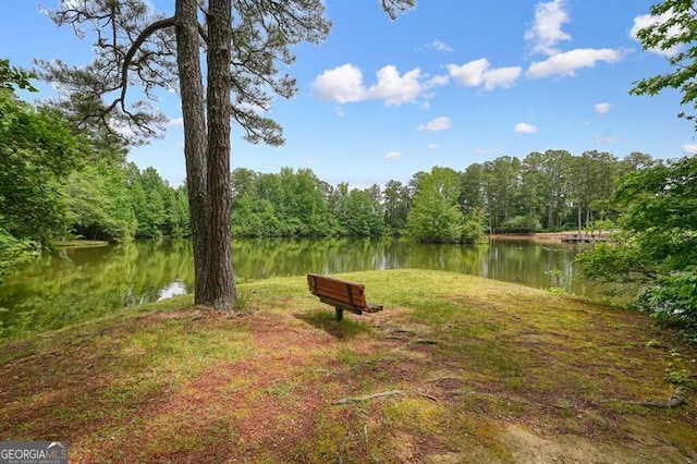 411 Mountain View Ln, Woodstock, GA 30188 - view of yard with a forest view and a water view