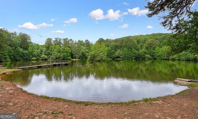 411 Mountain View Ln, Woodstock, GA 30188 - water view with a forest