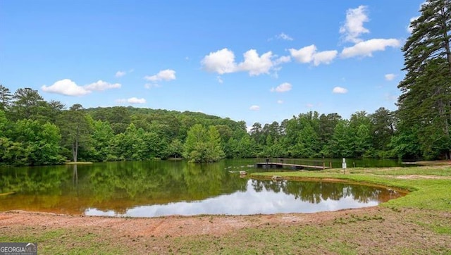 411 Mountain View Ln, Woodstock, GA 30188 - water view with a forest