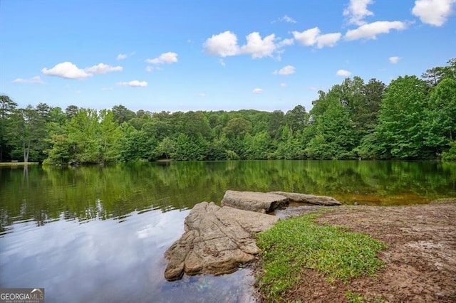 411 Mountain View Ln, Woodstock, GA 30188 - water view with a forest