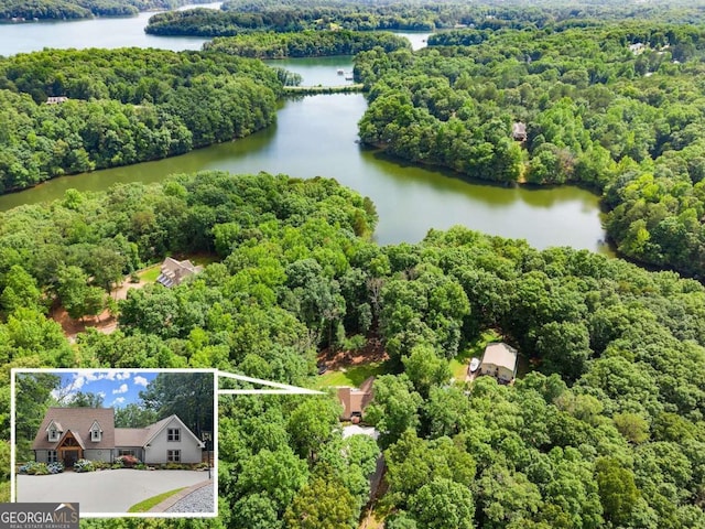 4690 Giddon Martin Rd, Gainesville, GA 30506 - aerial view of property and surrounding area with a large body of water, a forest, and property boundaries highlighted