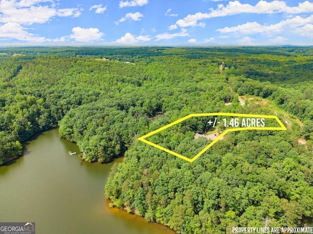 4690 Giddon Martin Rd, Gainesville, GA 30506 - aerial view of property's location with a heavily wooded area, a nearby body of water, and property parcel outlined