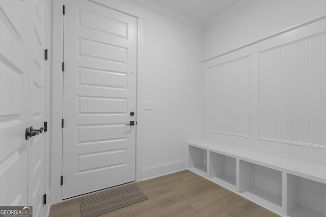 155 Lapis Lake Pt, Fayetteville, GA 30215 - mudroom featuring ornamental molding and light wood-style floors