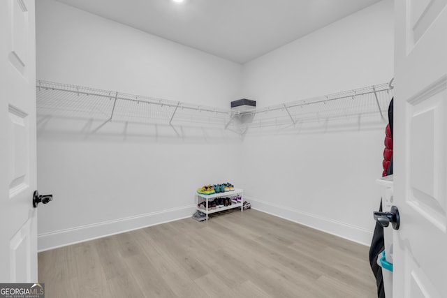 155 Lapis Lake Pt, Fayetteville, GA 30215 - walk in closet with wood finished floors