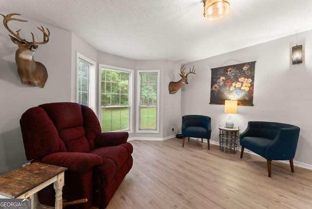 239 Hidden Ct, Winder, GA 30680 - living area with light wood-style flooring, baseboards, and a textured ceiling