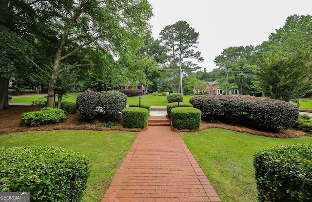 1111 Creekshore Dr, Athens, GA 30606 - view of property's community with a yard and view of scattered trees