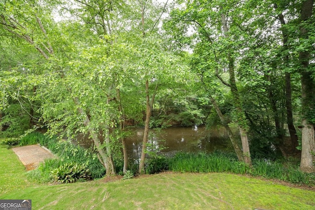 1111 Creekshore Dr, Athens, GA 30606 - view of green lawn