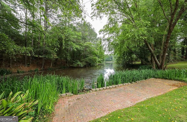 1111 Creekshore Dr, Athens, GA 30606 - water view