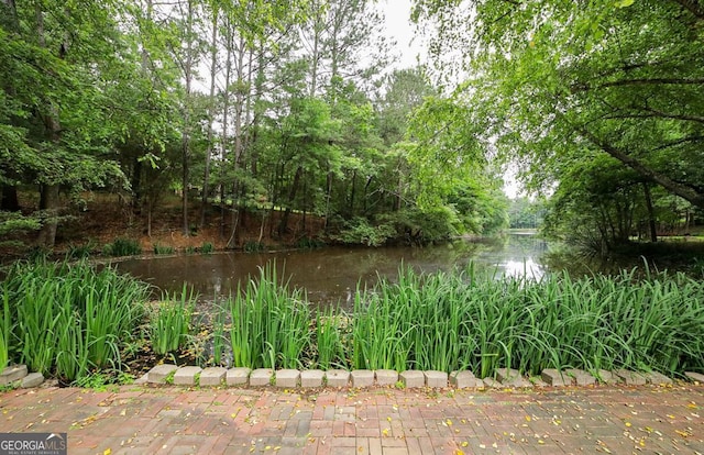 1111 Creekshore Dr, Athens, GA 30606 - water view