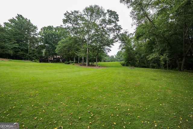 1111 Creekshore Dr, Athens, GA 30606 - view of grassy yard with view of scattered trees