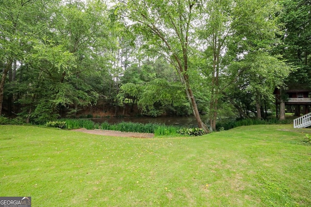 1111 Creekshore Dr, Athens, GA 30606 - view of grassy yard