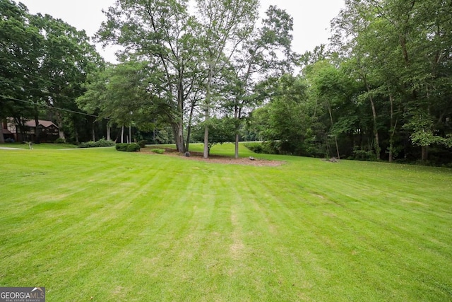 1111 Creekshore Dr, Athens, GA 30606 - view of grassy yard