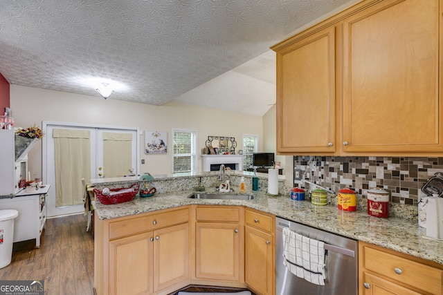 129 Onyx Ct, Carrollton, GA 30116 - kitchen featuring dishwasher, a sink, a peninsula, dark wood finished floors, and light stone countertops
