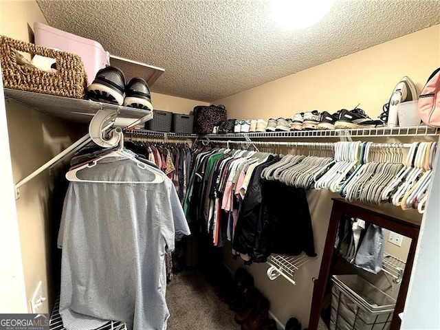 298 Moorings Run, Jasper, GA 30143 - spacious closet with carpet