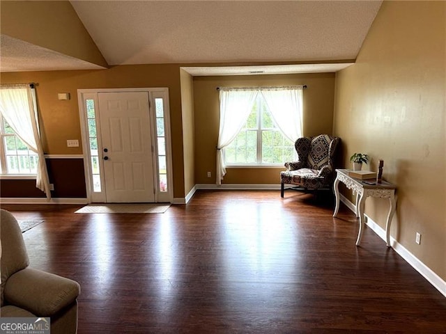 298 Moorings Run, Jasper, GA 30143 - entrance foyer with lofted ceiling and wood finished floors