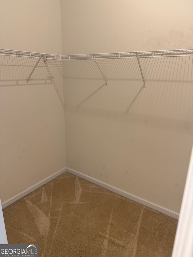 1925 Cedar Walk Ln, Conley, GA 30288 - walk in closet featuring carpet