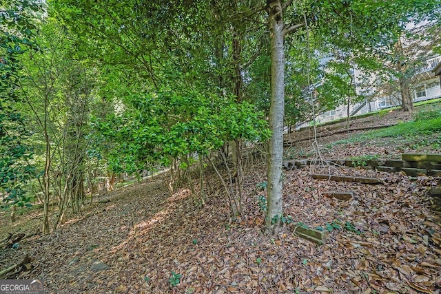 6708 Thornwood Ct, Flowery Branch, GA 30542 - view of yard